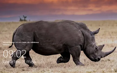 Ant Computers - Janusz Kossowski